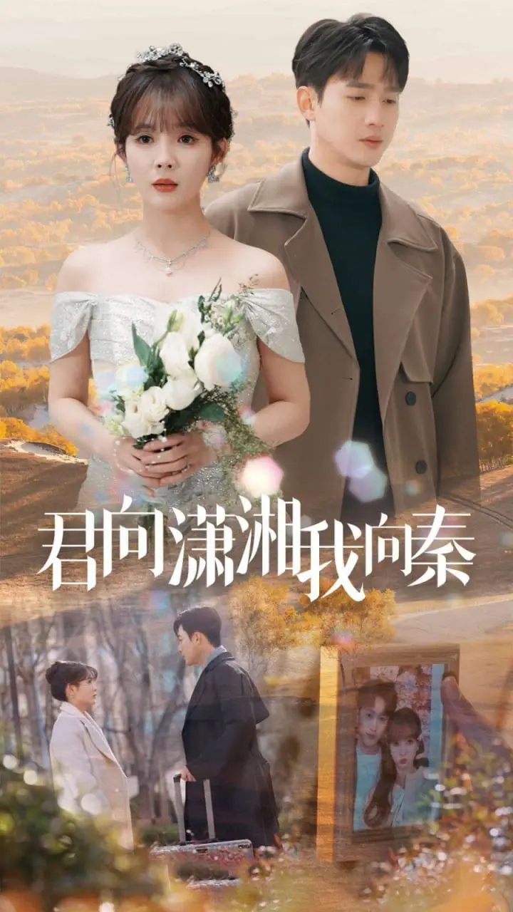 《君向潇湘我向秦》：虐恋情深？不！这是独立女性的觉醒之路！