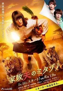 家政夫三田园第七季：搞笑家务大作战，如何平衡家庭与职场？